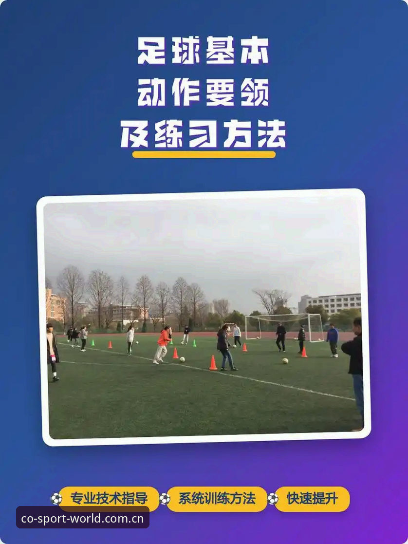掌握中欧体育平台最新动态的实用指南