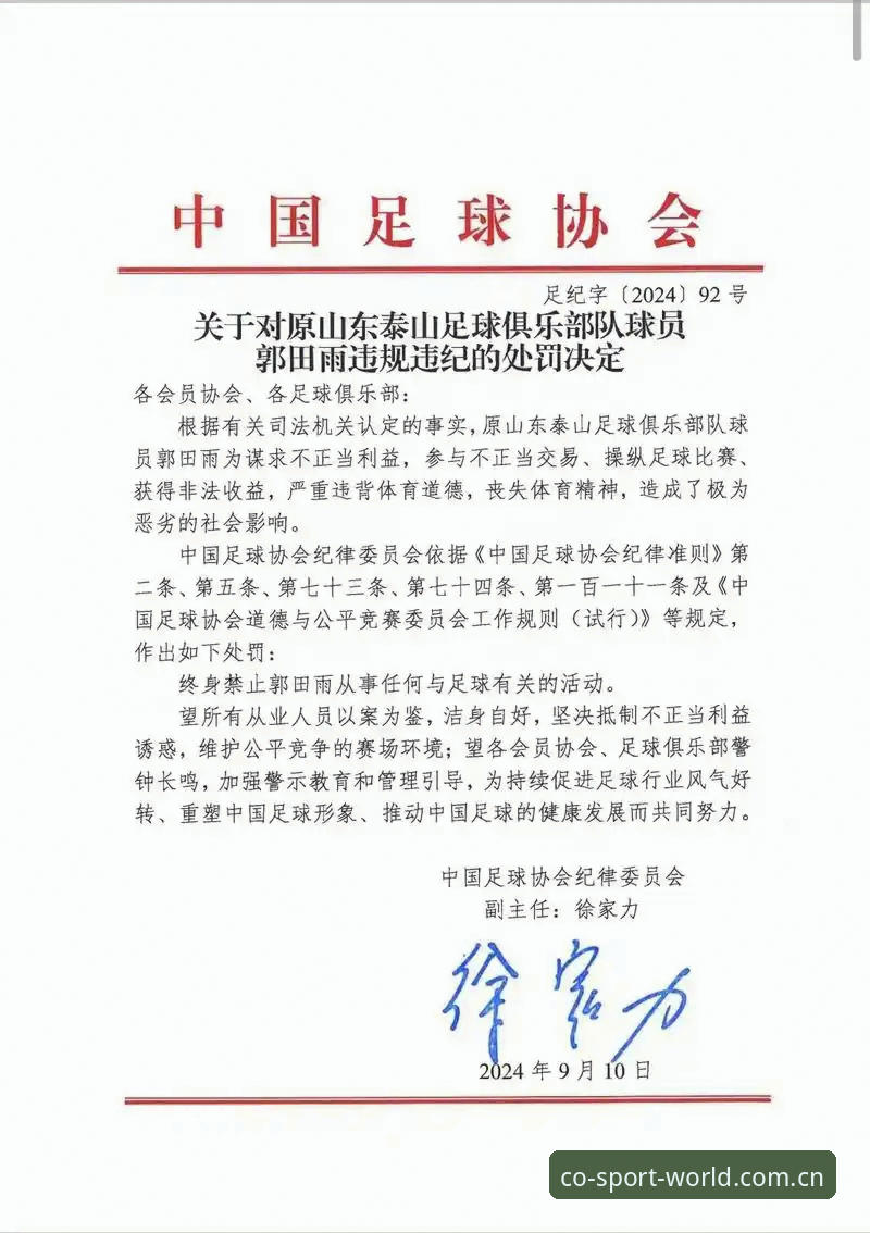 揭秘中国足协第三批禁足名单：65人遭重罚，足球反腐背后的深度观察